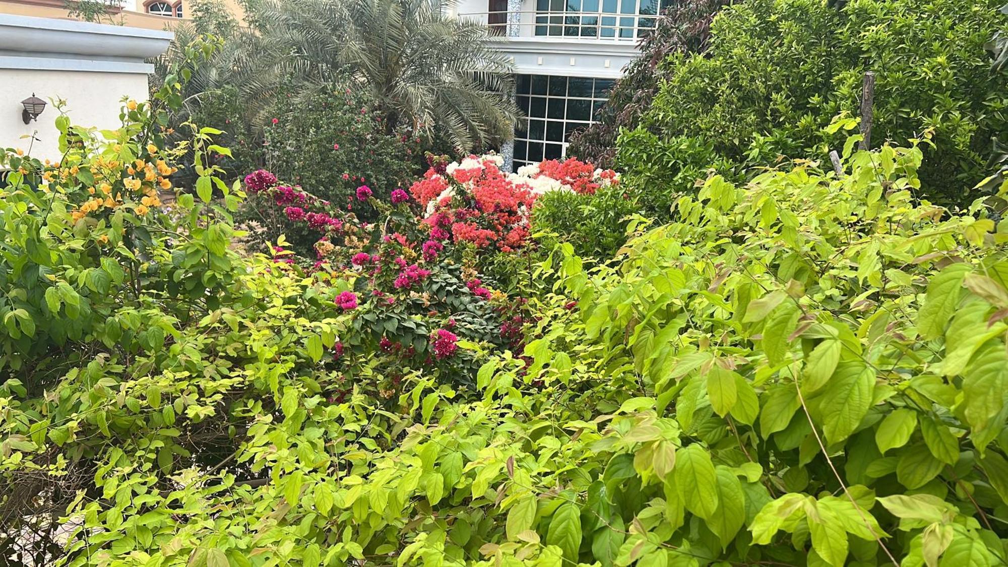 Alhosani Property Abu Dhabi Exterior foto